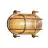 Nordlux Helford Światło Ścienne Szkło Mosiądz | IP64 - Nadaje Się Do E27